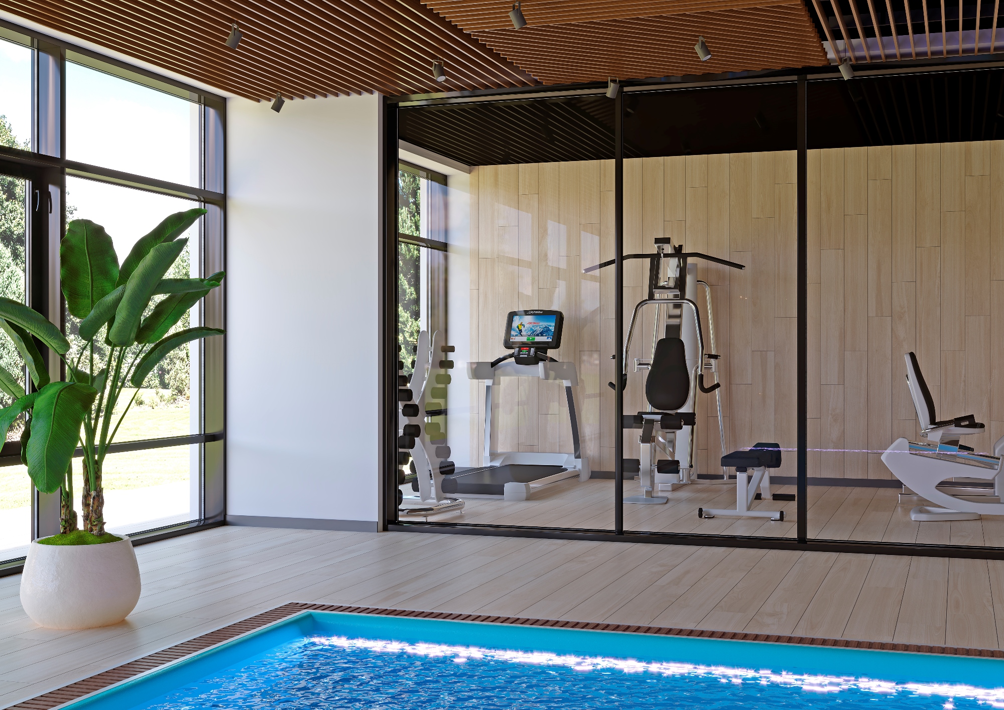 Madera